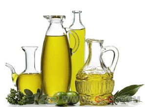 上海橄榄油进口报关全流程解析与专业代理服务推荐