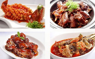 深圳市巴蜀风饮食管理 川味精髓与现代管理的融合之道